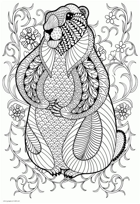 Ninja Turtles Coloring Pages Free