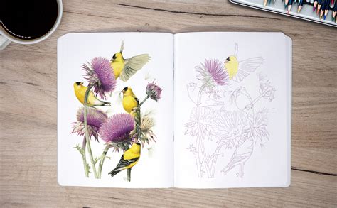 Line Art Coloring Pages