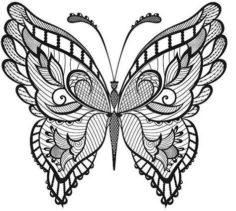 Adult Coloring Butterfly