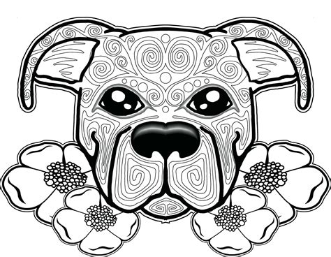 Cat Coloring Pages Realistic