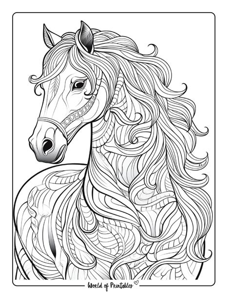 Adult Coloring Horses