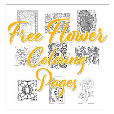Adult Coloring Ki