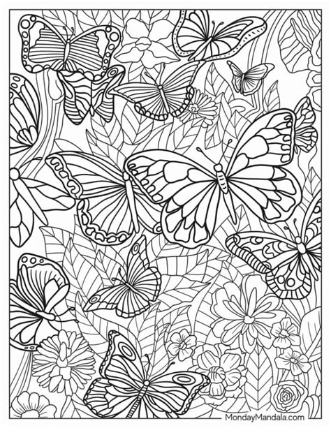 Adult Coloring Pages Of Butterflies