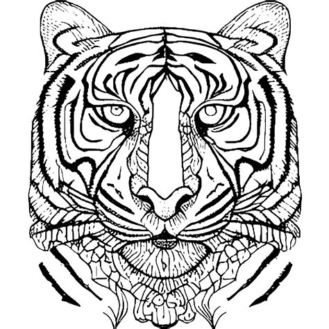 One Dollar Bill Coloring Page