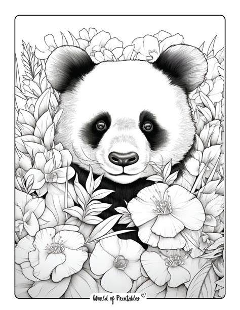 Adult Coloring Panda