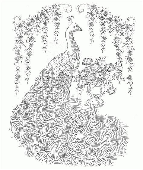 Adult Coloring Peacock