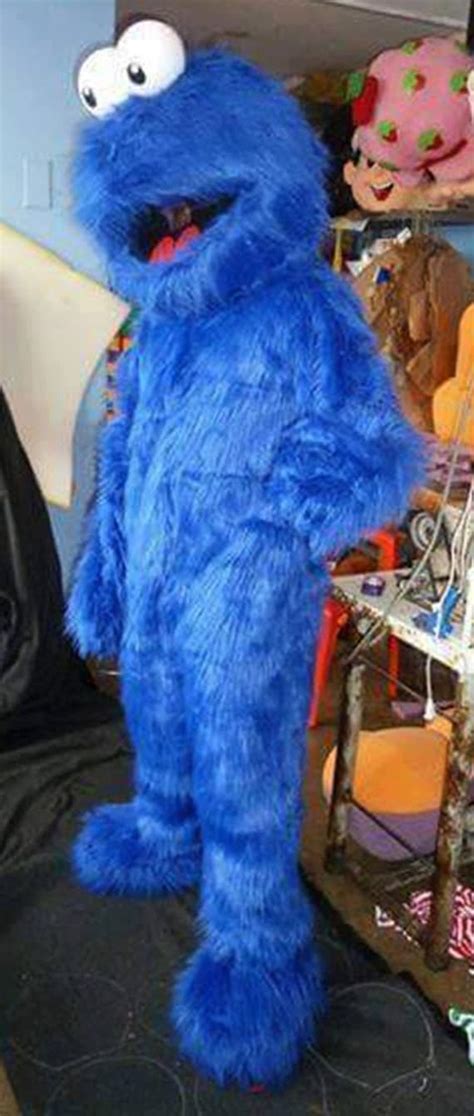 Adult Cookie Monster Costume - Etsy