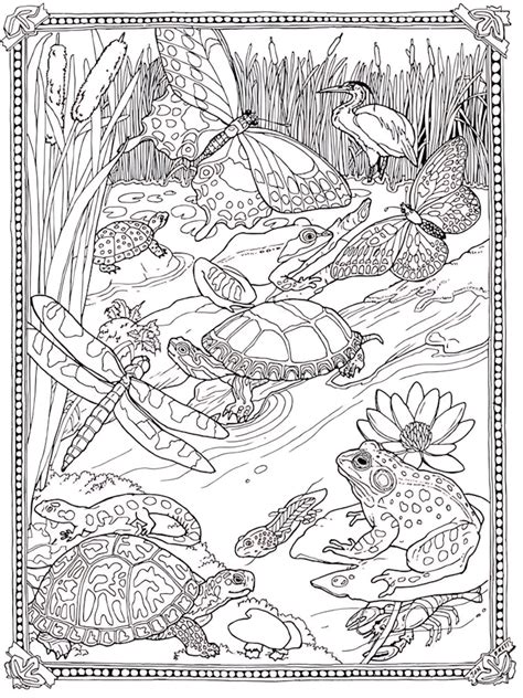 Adult Detailed Coloring Pages