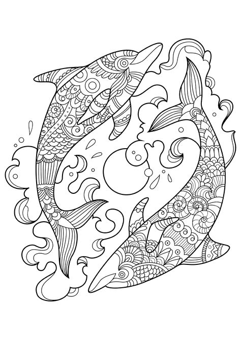 Border Collie Coloring