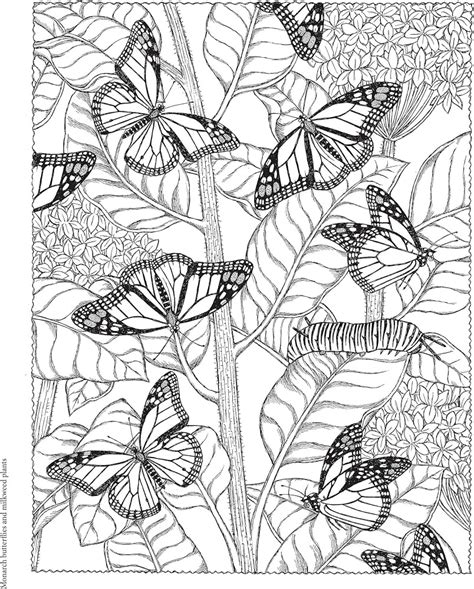 Adult Nature Coloring Books