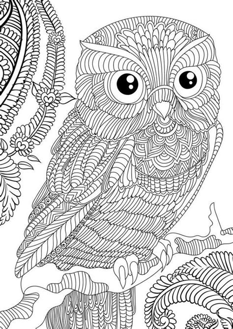 Printable Penguin Coloring Pages