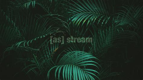 Adult Swim streams