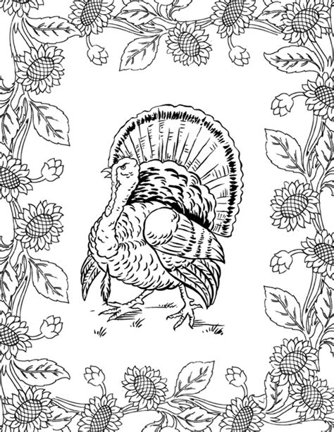 Rainbow Coloring Pic