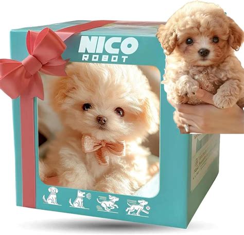 Adults reviews. .  <a href=https://testnnnn.on-forge.com/assets/images/...