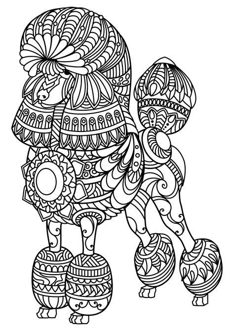 Read Online Adults Coloring Book  I Love Poodle Dog Coloring Book For All Ages Zentangle And Doodle Design By Tiny Cactus Publishing