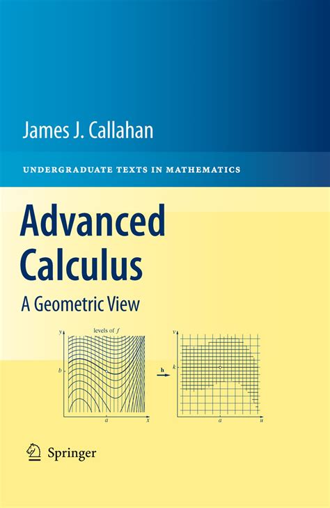 Advanced Calculus Springer