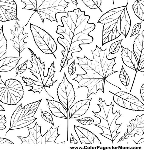 Advanced Leaves Coloring Page 41
