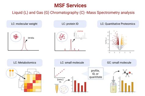 Advanced Mass Spectrometry Applications in Organic and Analytical Chemistry