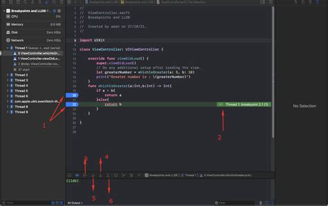 Advanced debugging with xcode and lldb