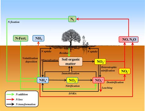 Advances in understanding nitrogen flows and …