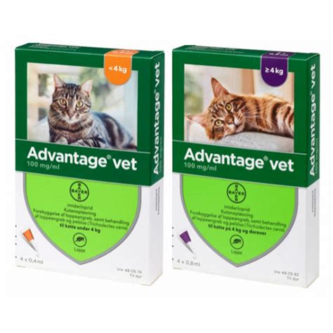 Advantage vet. Things To Know About Advantage vet. 