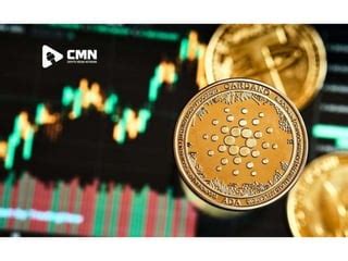 overview for cardano