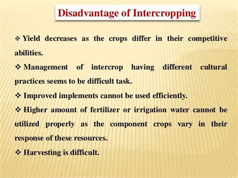 Advantages and Disadvantages of Intercropping - agriinfo.in