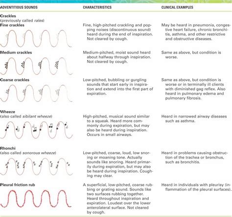 Adventitious lung sounds. Things To Know About Adventitious lung sounds. 