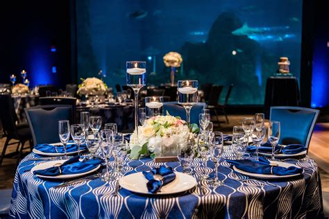 Adventure Aquarium Events & Catering - Home Facebook