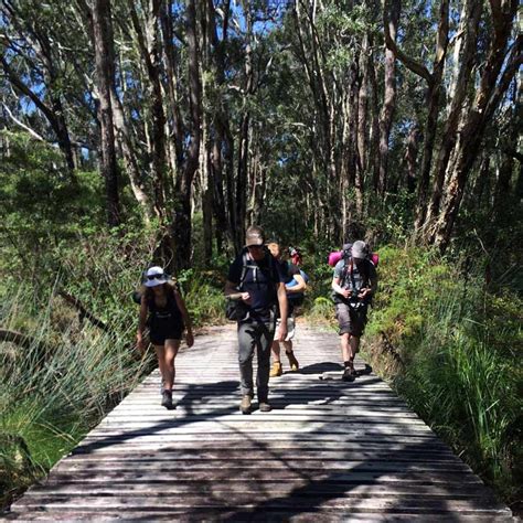 Adventure Hiking - FRASER ISLAND HIKING