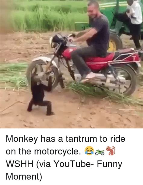 Adventure Riding Community on Instagram: "Moto-Monkey! 🐒 …