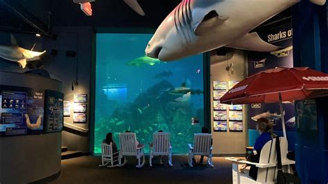Adventure aquarium photos. Things To Know About Adventure aquarium photos. 