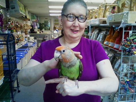 Lovely rare Shamrock Macaw young female. Special $2295.95.. 