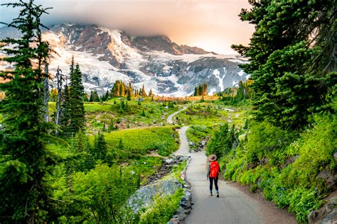 Adventure guide to mount rainier hiking climbing and skiing in mt rainier national park falcon guides national parks. - College biology placement exam study guide.