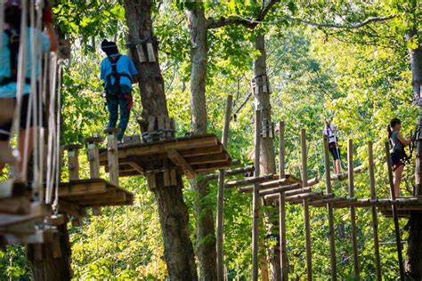 Adventure park virginia beach coupon. 701 South Lynnhaven Road, Virginia Beach • 5.9 mi. 4.5. 367245 Ratings. $139.94. $29.99. 79% OFF. One photography session with 3 digital images and one standard print. 