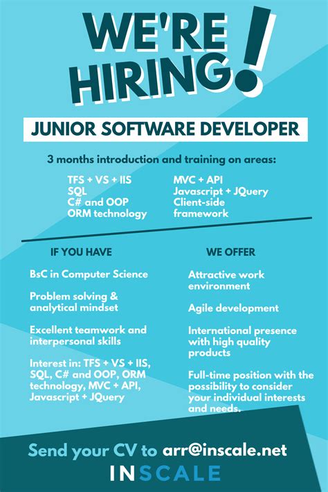 Advertisement for Jr Consultant and Computer Programmer