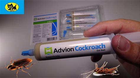 Advion cockroach gel bait review. Things To Know About Advion cockroach gel bait review. 