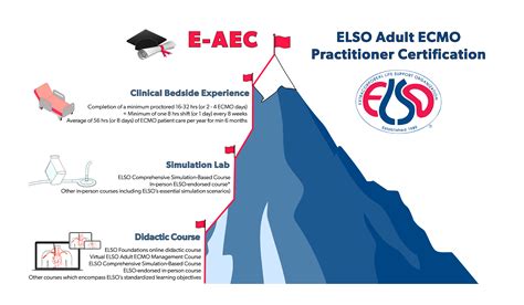 The Certificate of Collegial Studies (AEC) is a post-seco