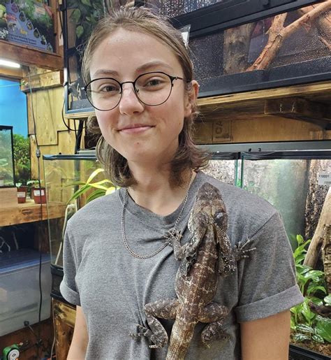 Aep reptiles. .