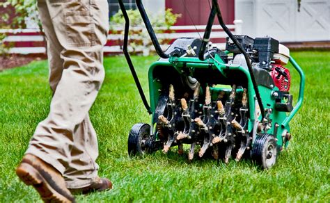 Aeration and overseeding. Aerating your lawn helps reduce thatch accumulation and alleviate compaction. Overseeding Benefits. Add overseeding to help thicken thin and bare areas and to introduce new and improved grass varieties to your existing turf. If you are wanting a lush, green lawn that the neighbors will envy, core aeration and overseeding can provide … 