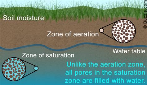 Vadose zone, region of aeration above the water table. This zone also includes the capillary fringe above the water table, the height of which will vary according to the grain size of the sediments. In coarse-grained mediums the fringe may be flat at the top and thin, whereas in finer grained. . 