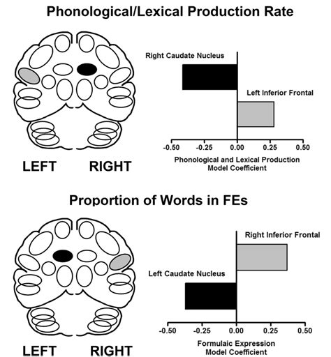 Affect is Largely a Subcortical Process