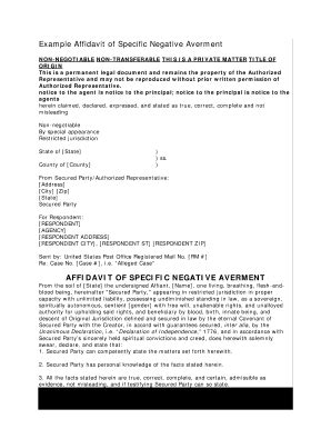 Affidavit of Specific Negative Avement docx