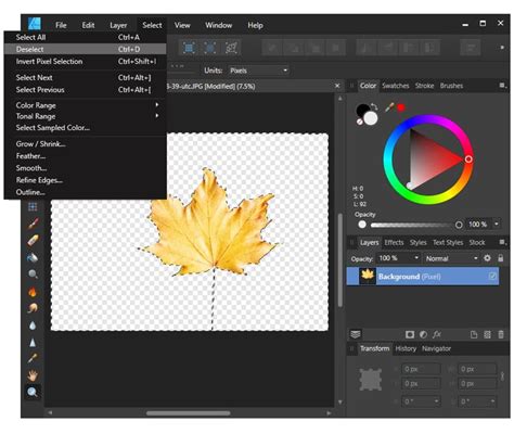 Affinity designer remove background from image.  Thanks to the Selection B...