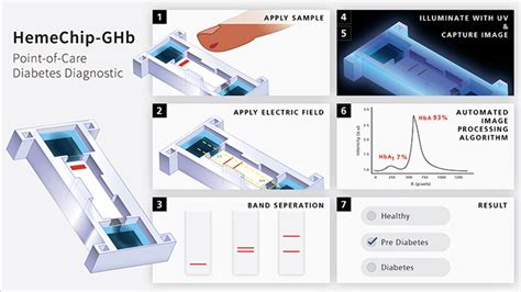 Affinity electrophoresis - Wikipedia