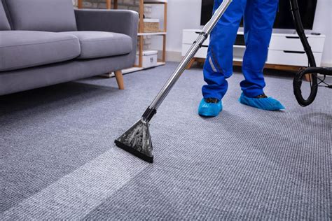 Affordable carpet cleaning. Clean Scene Carpet Cleaning. 5.0 (66 reviews) Carpet Cleaning. Family-owned & operated. Pet friendly. $10 for $25 Deal. “Highly recommend using Andrew at Clean Scene Carpet Cleaning !” more. See Portfolio. Responds in about 40 minutes. 