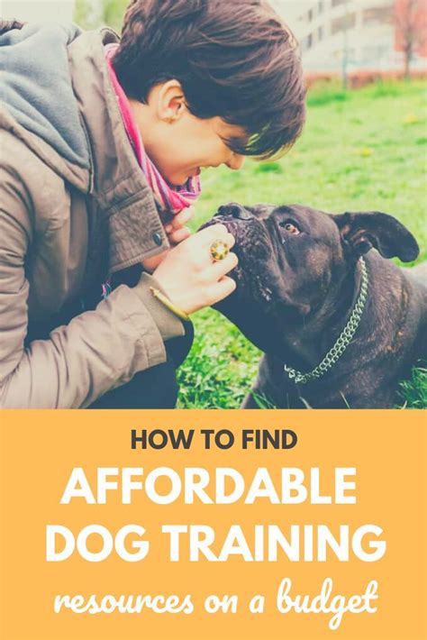 Affordable dog training. Learn how to get cheap, affordable dog training help from online courses, shelters, vets, and more. Find tips and links for free or low-cost dog training resources for common issues and behavior problems. 