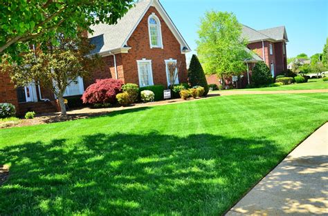 Affordable lawn care. 5 Minute Setup. View pricing, choose your options, and schedule service in 5 minutes or less. Online Account Management. Payment, scheduling, feedback... all done through a … 