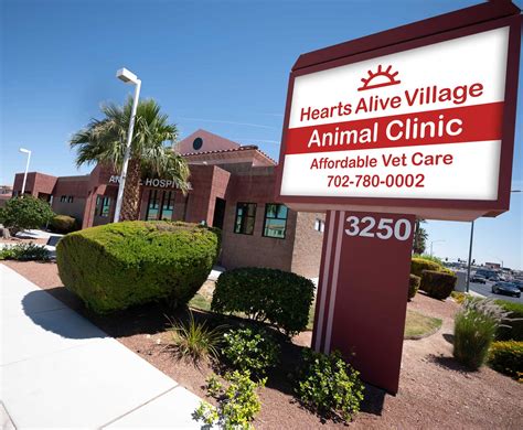 Affordable veterinary clinic. Things To Know About Affordable veterinary clinic. 