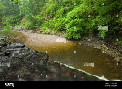 Afon Pyrddin, Brecon Beacons National Park, Powys - UK …